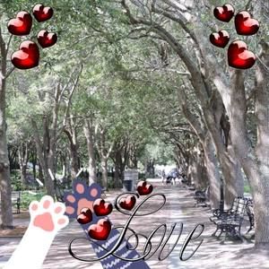 Meet your Posher, Ewa